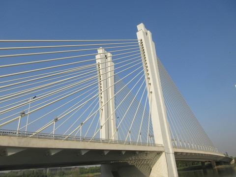 斜拉索桥