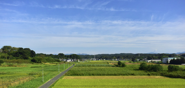 乡村田园风光