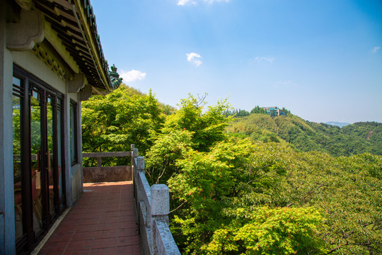 莫干山看台