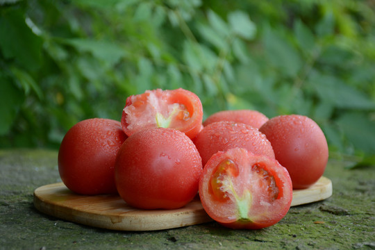 蕃茄西红柿