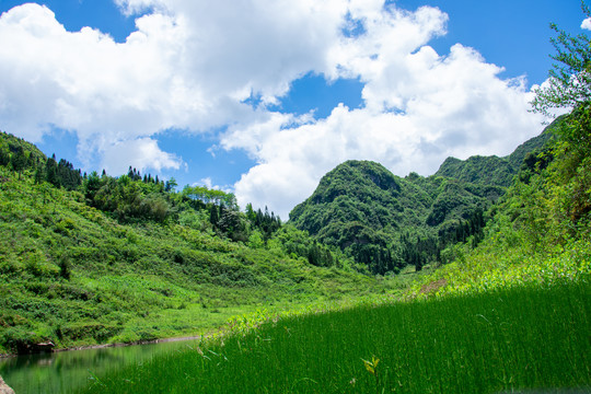 翠屏山水库