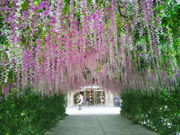 管道阳台室外装饰花藤条