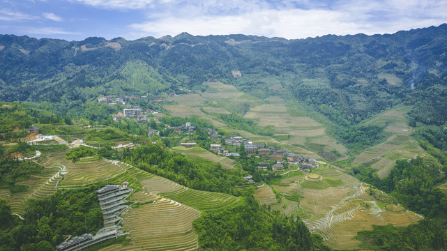 龙脊梯田