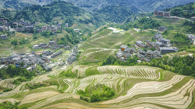 龙脊梯田