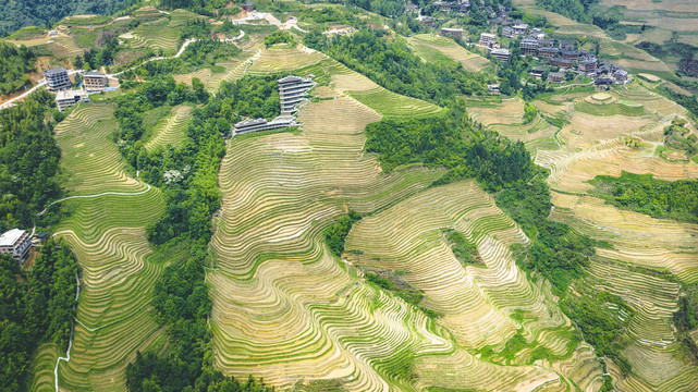 龙脊梯田