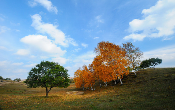 内蒙古坝上草原秋景