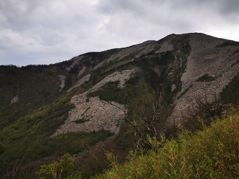 秦岭