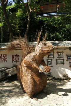松鼠