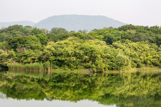 倒影山水