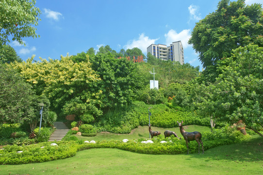 东山文旅康养小镇风景