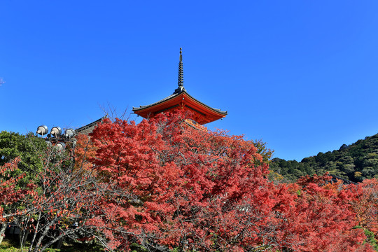 日本清水寺