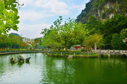 七星岩风景