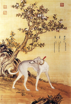 郎世宁十骏犬图之一苍水虬