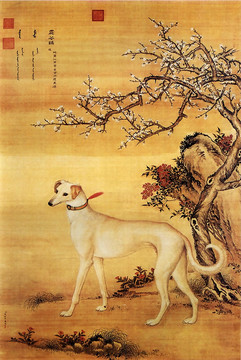 郎世宁十骏犬图之九霜花鹞