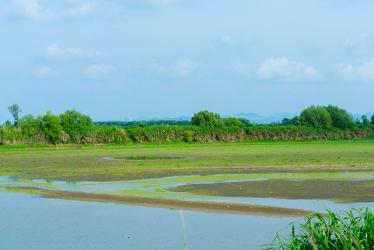 黄陂湖