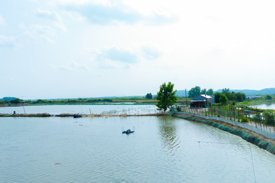 黄陂湖