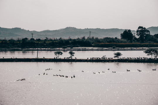 黄陂湖