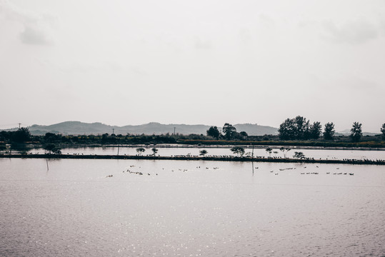 黄陂湖