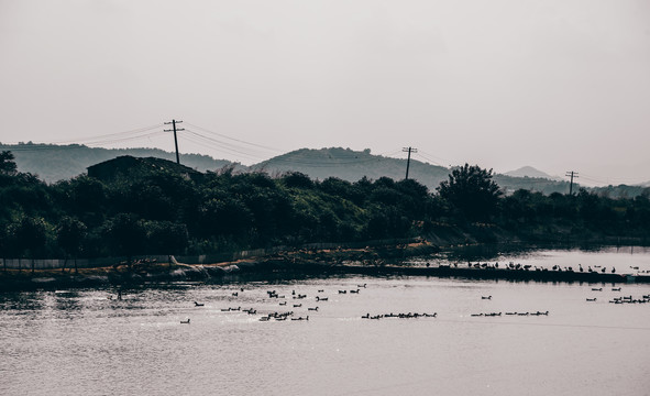 黄陂湖