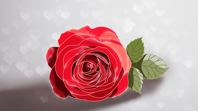 心形光斑下绽放的红色玫瑰花