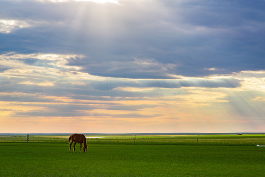 内蒙古草原上的夕阳美景和马