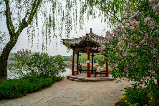 北坞公园