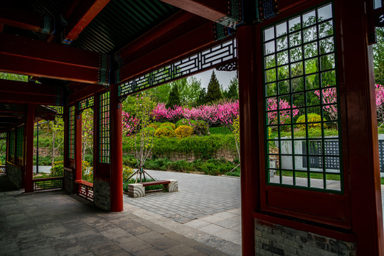 北坞公园