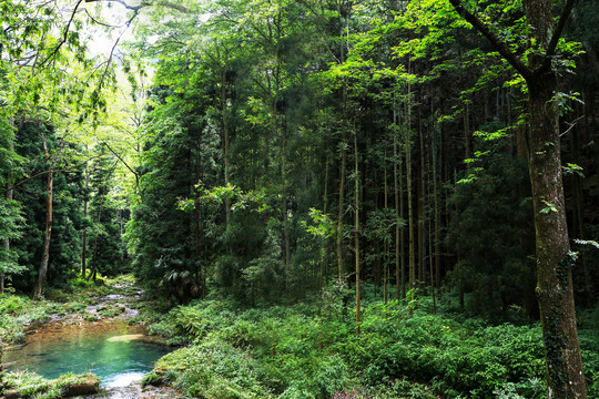 张家界武陵源景区