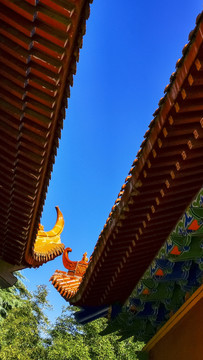 屋檐