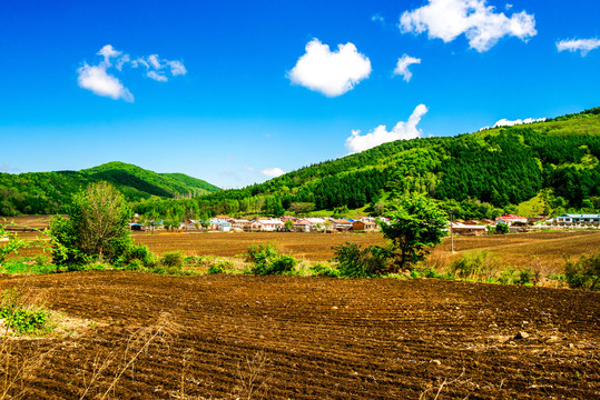 田园乡村