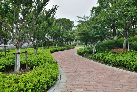 公园绿地