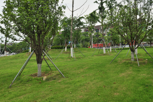 公园绿地