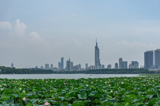 南京城市风光