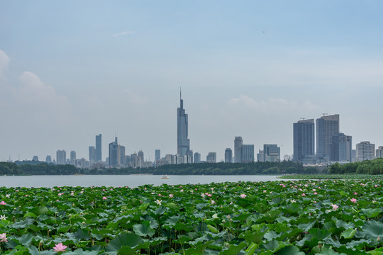 南京全景