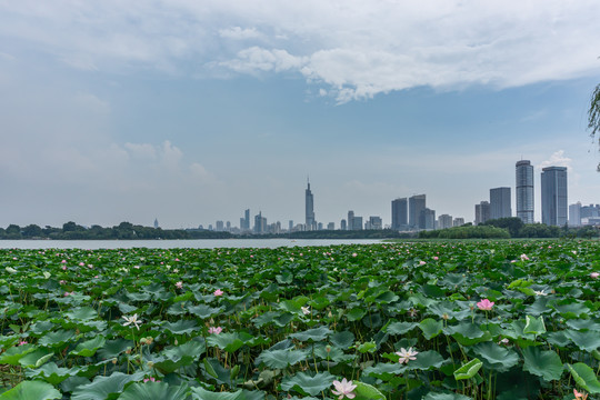 南京全景