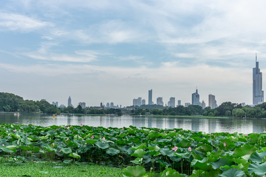 南京全景