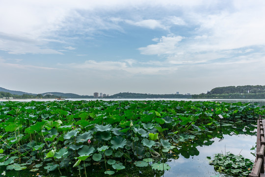 南京玄武湖