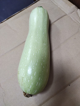 西葫芦