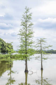 松山湖