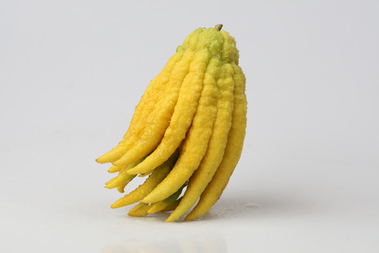 佛手果
