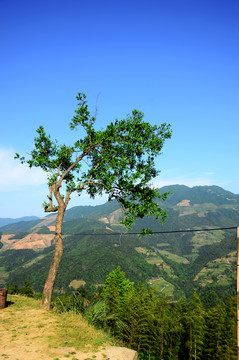 山村