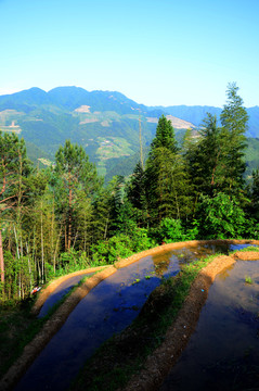 山村