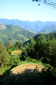 山村