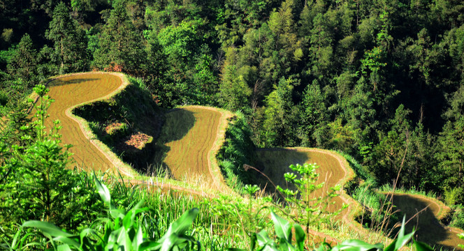 田园风光
