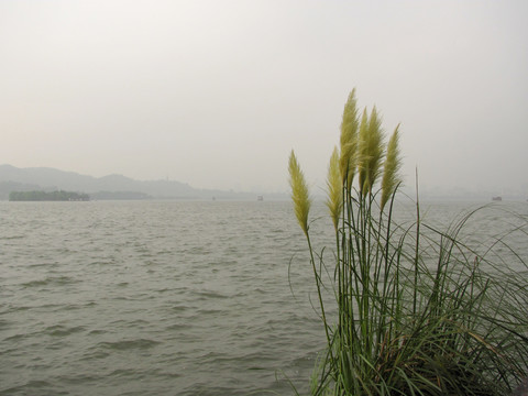 西湖夕阳