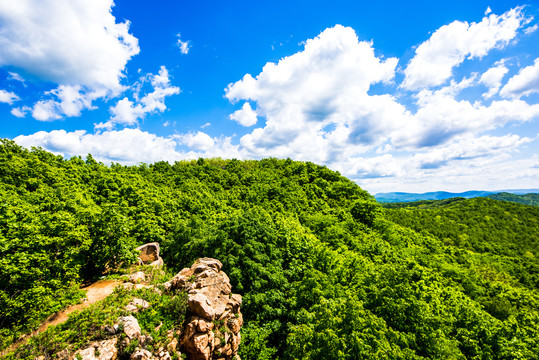 青山