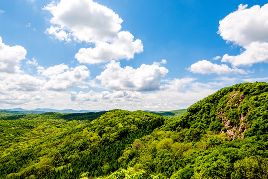 青山