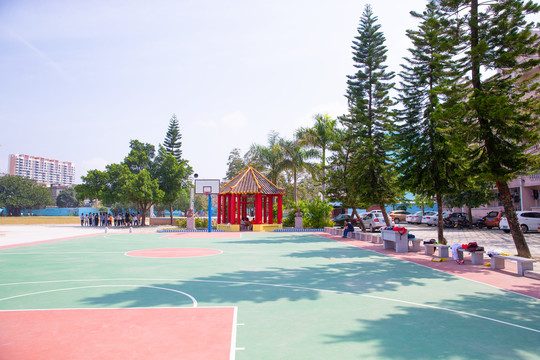 奋兴中学