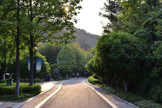 林间公路