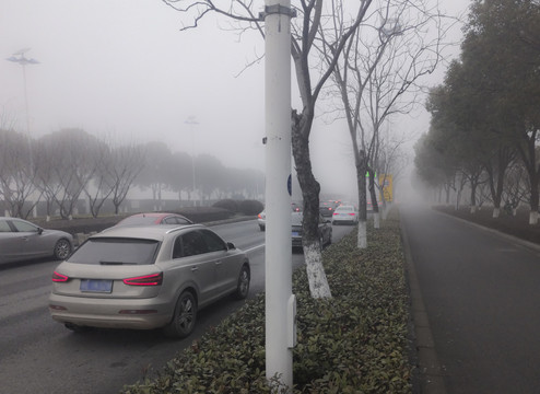 雾中交通路段